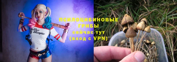 хмурый Алексин