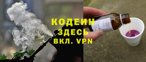 хмурый Алексин