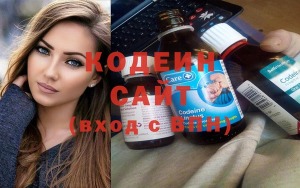 хмурый Алексин