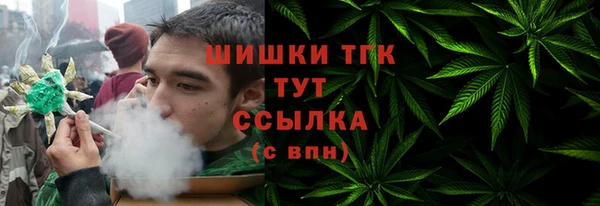 гидра Киреевск