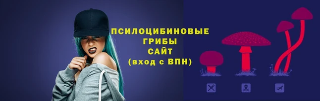 хмурый Алексин
