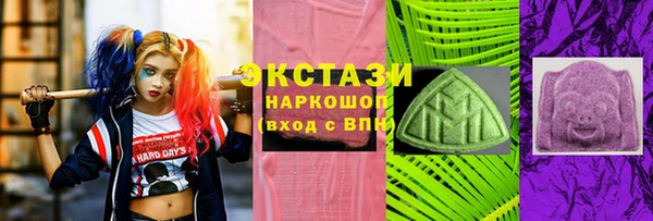 хмурый Алексин