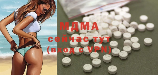 хмурый Алексин