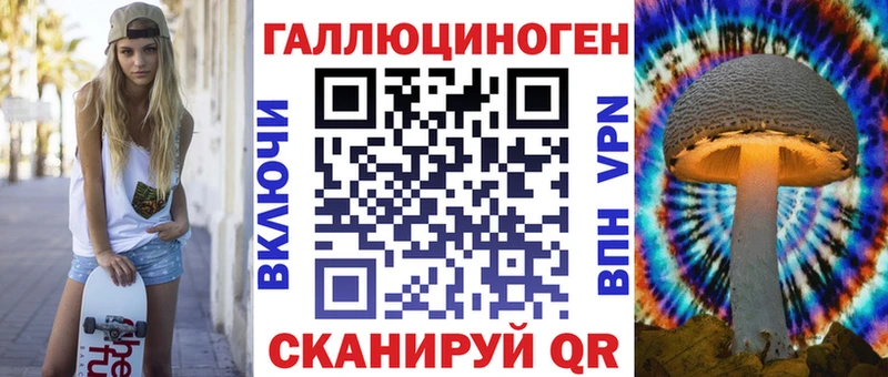 Галлюциногенные грибы Psilocybine cubensis  Осинники 